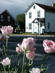 Burritt's Rapids Public Gardens